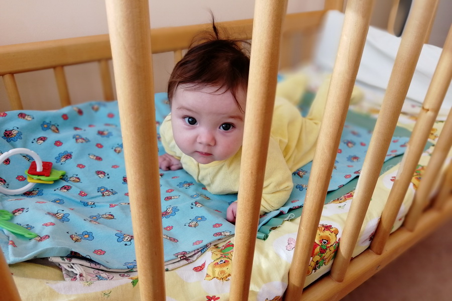 domreb_biisk1.jpg domreb_biisk1.jpg